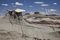 025 Bisti Badlands